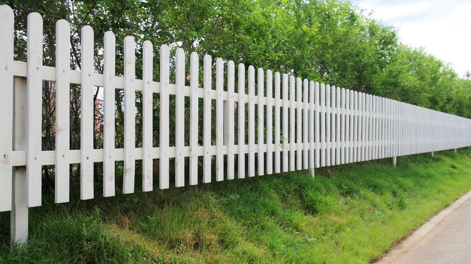 Comment bien choisir ma palissade de jardin avec Districlos